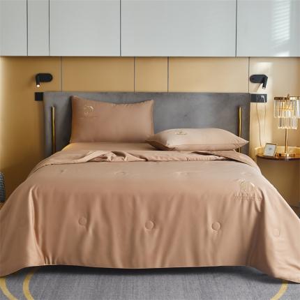 91家纺网 家纺一手货源 找家纺 （总）头等舱2022舒雅棉A类贡缎60支35大豆抗菌夏凉被