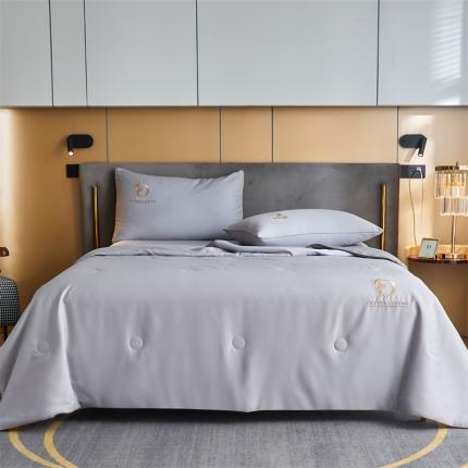 91家纺网 家纺一手货源 找家纺 头等舱2022新款舒雅棉A类贡缎60支35大豆抗菌夏凉被 达米昂-浅灰