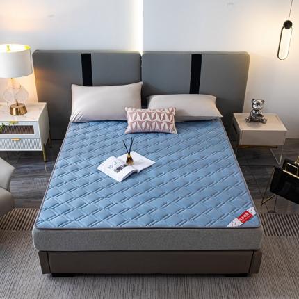 91家纺网 家纺一手货源 找家纺 鑫钰 22年新款全棉大豆色织床护垫纯色保护垫 蓝