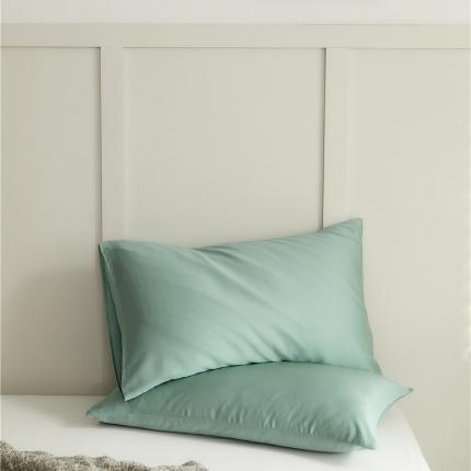 新款60支天丝单品系列-枕套薄荷绿