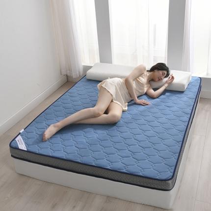 鑫钰  2023新款A类全棉抗菌记忆高回弹加厚立体床垫 蓝色