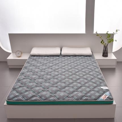 91家纺网 家纺一手货源 找家纺 时奥 2022新款负离子纤维记忆海绵床垫 时尚灰