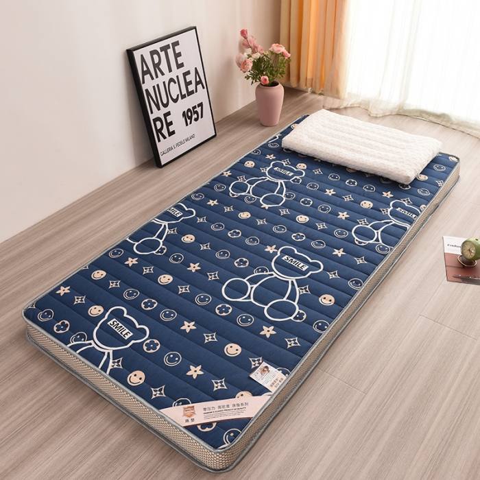 91家纺网 家纺一手货源 找家纺 亿丁点 2023新款磨毛床垫直播印花学生立体款 磨毛立体潮流熊