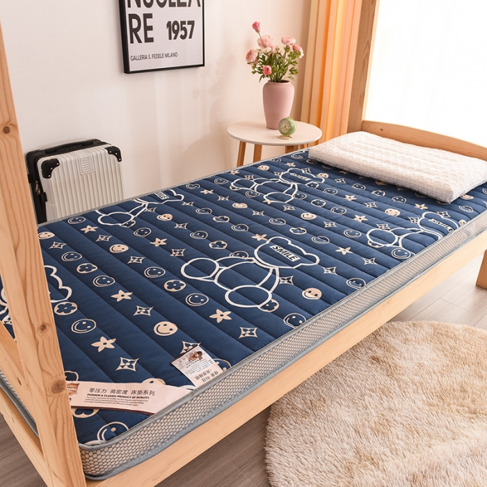 91家纺网 家纺一手货源 找家纺 亿丁点 2023新款磨毛床垫直播印花学生立体款 磨毛立体潮流熊