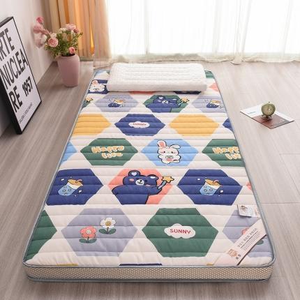 亿丁点 2023新款磨毛床垫直播印花学生款立体 磨毛立体嘉年华