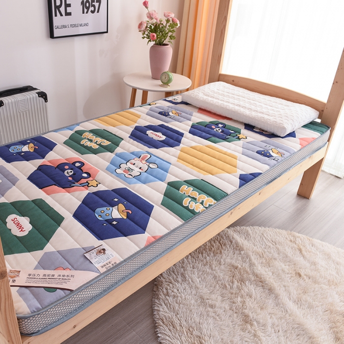 91家纺网 家纺一手货源 找家纺 亿丁点 2023新款磨毛床垫直播印花学生立体款 磨毛立体嘉年华