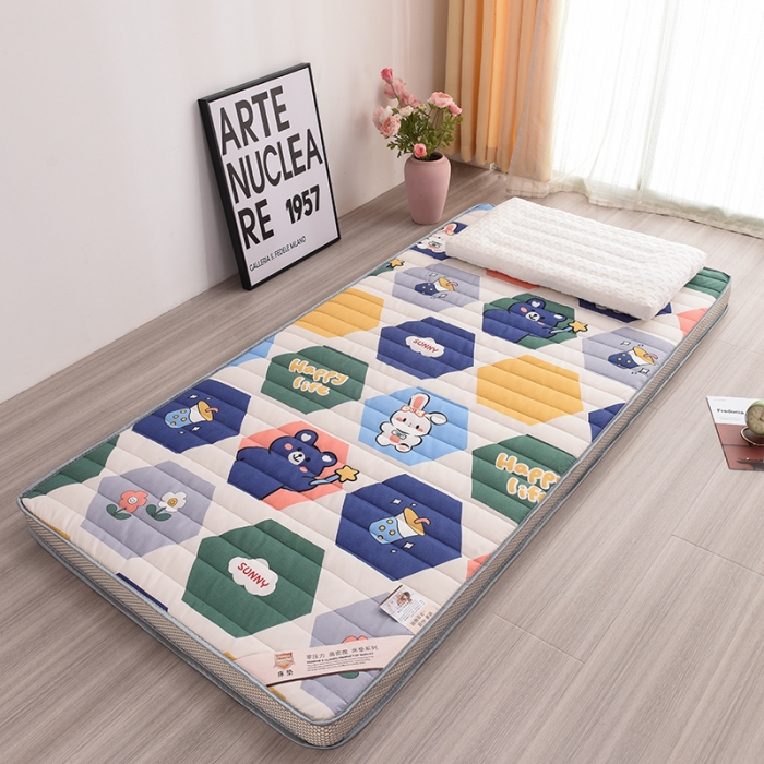 91家纺网 家纺一手货源 找家纺 亿丁点 2023新款磨毛床垫直播印花学生立体款 磨毛立体嘉年华