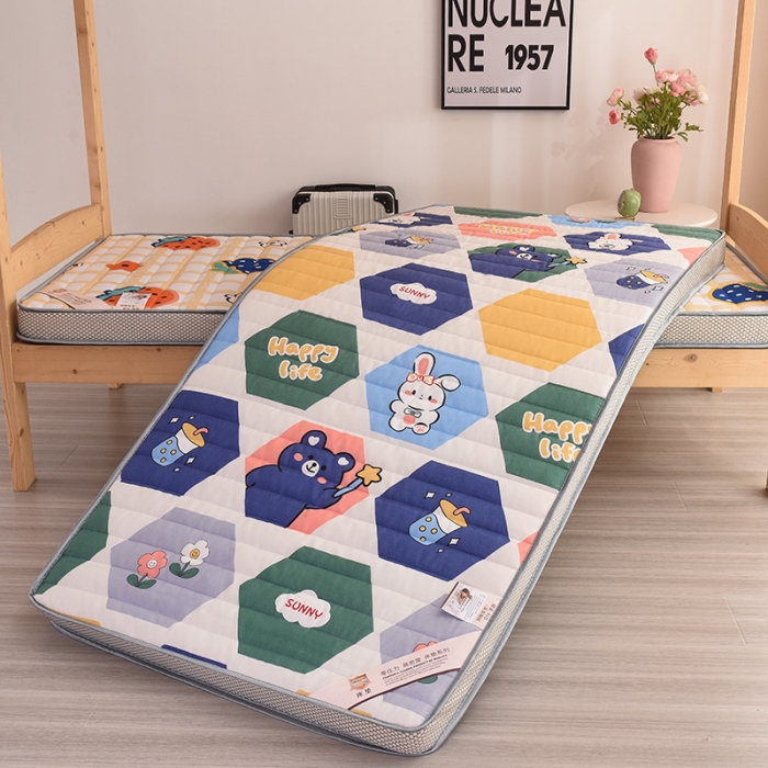 91家纺网 家纺一手货源 找家纺 亿丁点 2023新款磨毛床垫直播印花学生立体款 磨毛立体嘉年华