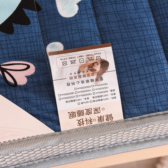 91家纺网 家纺一手货源 找家纺 亿丁点 2023新款磨毛床垫直播印花学生立体款 磨毛立体侏罗纪