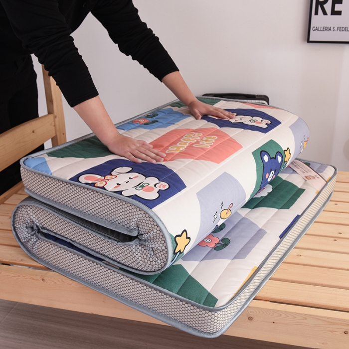 91家纺网 家纺一手货源 找家纺 亿丁点 2023新款磨毛床垫直播印花学生立体款 磨毛立体嘉年华