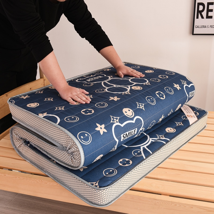 91家纺网 家纺一手货源 找家纺 亿丁点 2023新款磨毛床垫直播印花学生立体款 磨毛立体潮流熊