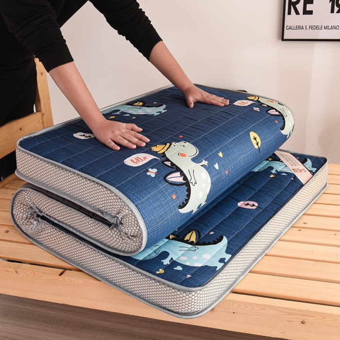 91家纺网 家纺一手货源 找家纺 亿丁点 2023新款磨毛床垫直播印花学生立体款 磨毛立体侏罗纪