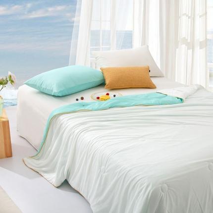 薇玛仕 2023新款抗菌冰淇淋夏凉被抑菌夏被空调被 兰白双味