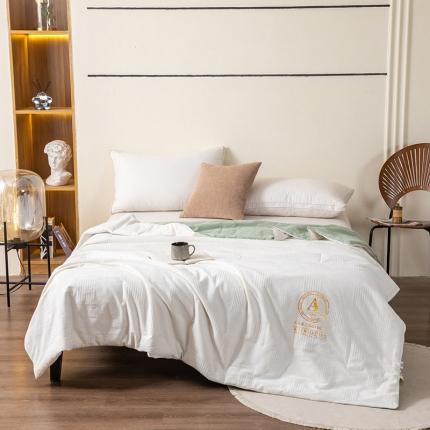 91家纺网 家纺一手货源 找家纺 （总）芯恋家居2025新款母婴级无印染大提花大豆春秋夏被