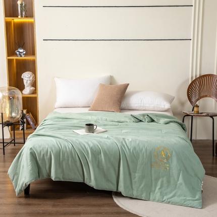 91家纺网 家纺一手货源 找家纺 （总）芯恋家居2025新款母婴级无印染大提花大豆春秋夏被