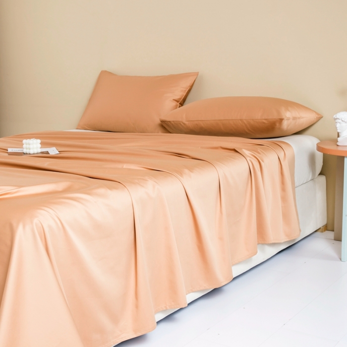 91家纺网 家纺一手货源 找家纺 久典 2022新款100支双股澳棉单品床单 焦糖色