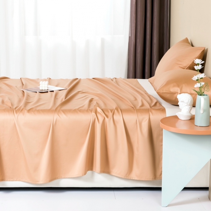 91家纺网 家纺一手货源 找家纺 久典 2022新款100支双股澳棉单品床单 焦糖色