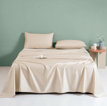 久典 2022新款100支双股澳棉单品床单 曲奇色