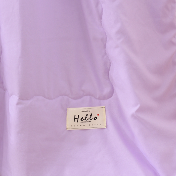 91家纺网 家纺一手货源 找家纺 (总)德芙 2023新款水洗棉斜纹夏被