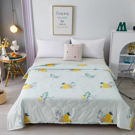 91家纺网 家纺一手货源 找家纺 欧雅搁 2025新款水洗棉印花夏凉被 夏日柠檬