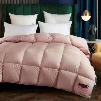 91家纺网 家纺一手货源 找家纺 （总）岚司羽 新款95白鹅绒冬被95%羽绒被