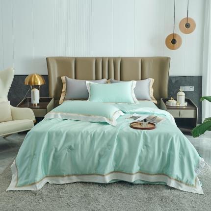 91家纺网 家纺一手货源 找家纺 时亿 2022新款80支天丝刺绣夏被夏凉被直播款-暮-春竹