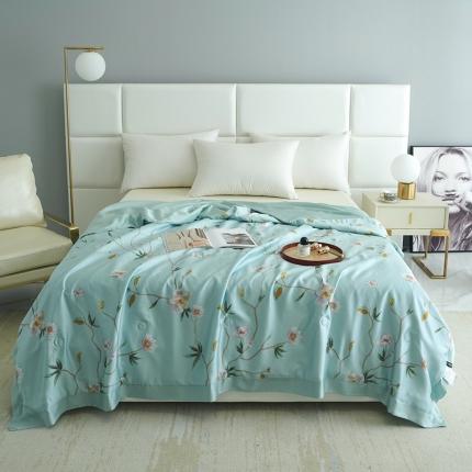 时亿 2022新款80支天丝印花单夏被夏凉被空调被直播款 苏语