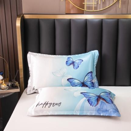 91家纺网 家纺一手货源 找家纺 (总) 新款大版冰丝枕套一对装