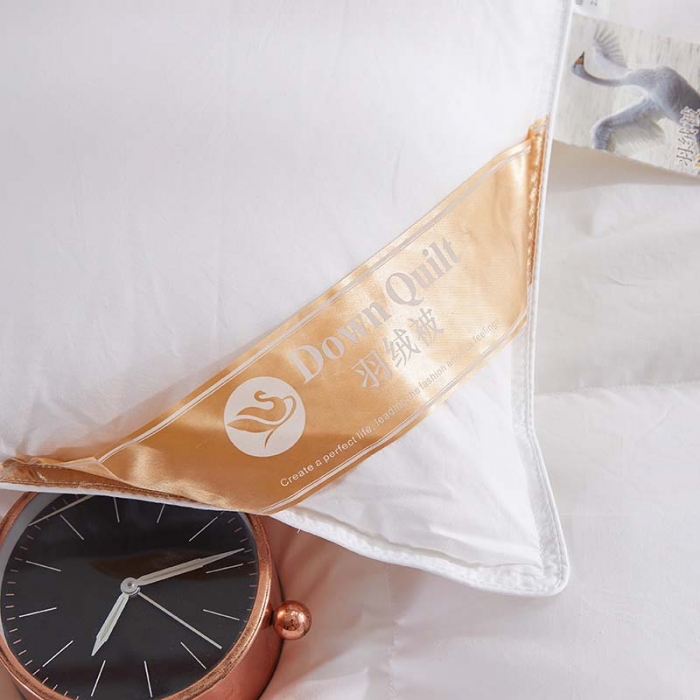 91家纺网 家纺一手货源 找家纺 羽仙子 2023爆款80s柔赛丝90白鹅绒被羽绒被春秋被冬被 白色