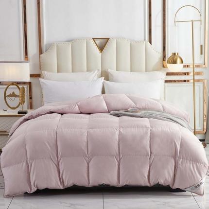 羽仙子 2023爆款80s柔赛丝90白鹅绒被羽绒被春秋被冬被 豆沙色