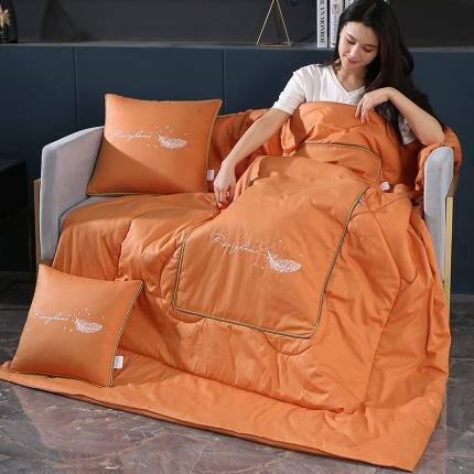 91家纺网 家纺一手货源 找家纺 (总)照世家纺2022新款全棉羽毛款多功能抱枕被