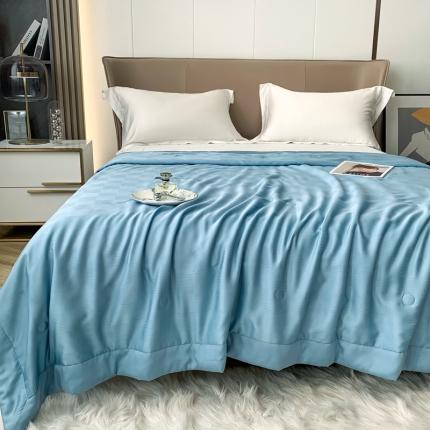 （总）榻尚 2023新款天丝提花夏被夏凉被20%蚕丝