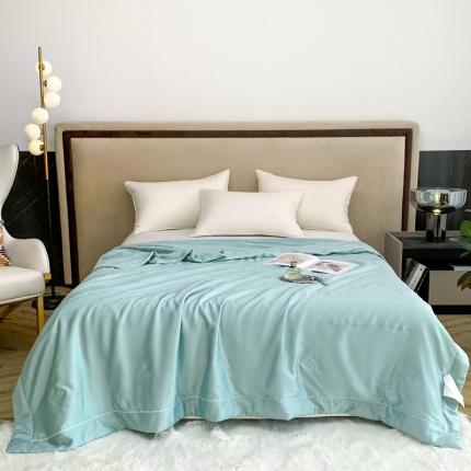 91家纺网 家纺一手货源 找家纺 （总）榻尚 2023新款纯色80天丝胶原蛋白夏被夏凉被 素