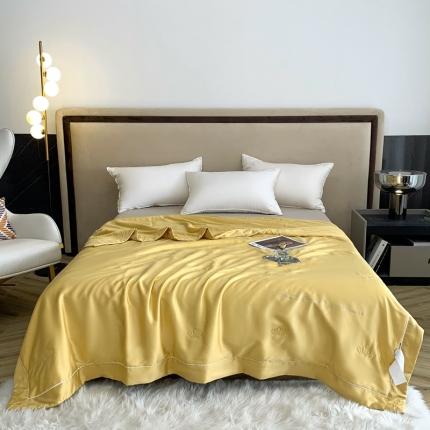 榻尚 2023新款纯色80天丝胶原蛋白夏被夏凉被 素 素 黄