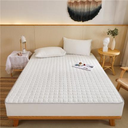 91家纺网 家纺一手货源 找家纺 总-雪云美2022新款A类全棉色织水洗棉夹棉单床笠床罩可定制