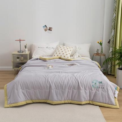 芯恋 2025直播爆款水洗凉感简约ins素色凉眠夏被 典雅灰