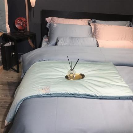 91家纺网 家纺一手货源 找家纺 （总）玖玖爱 2022新款纯色天丝棉夏被子被芯