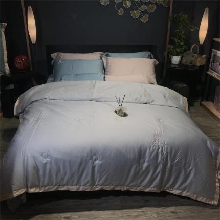 91家纺网 家纺一手货源 找家纺 （总）玖玖爱 2022新款纯色天丝棉夏被子被芯