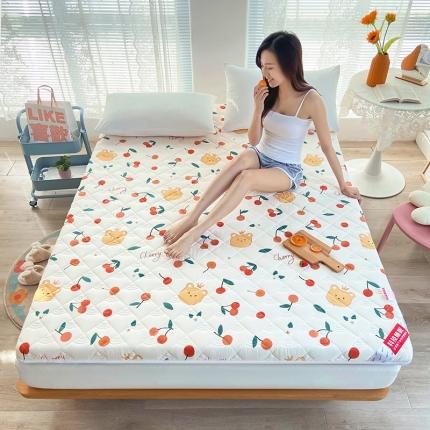 鑫钰 2023新款小老虎印花抗菌床垫 樱桃小丸子