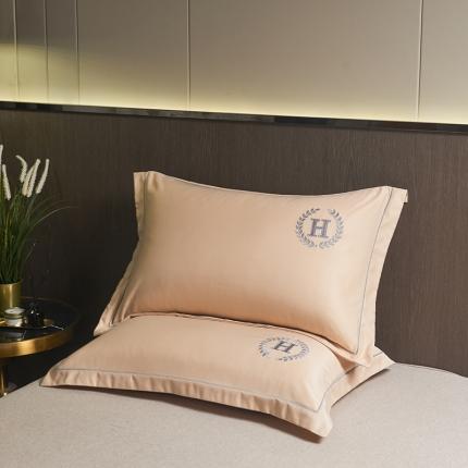 水洗真丝枕套单人枕套刺绣加密枕芯学生宿舍家用48x74一对装 夏月-奶茶咖（一只）