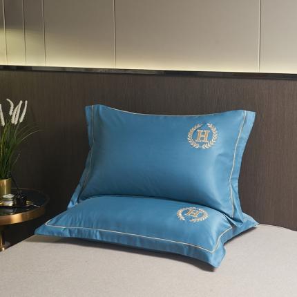 水洗真丝枕套单人枕套刺绣加密枕芯学生宿舍家用48x74一对装 夏月-瀑布蓝（一对）