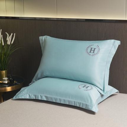 水洗真丝枕套单人枕套刺绣加密枕芯学生宿舍家用48x74一对装 夏月-丁香兰（一对）