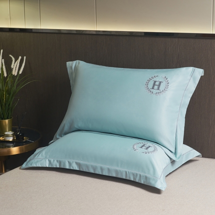 91家纺网 家纺一手货源 找家纺 水洗真丝枕套单人枕套刺绣加密枕芯学生宿舍家用48x74一对装 夏月-芝兰紫（一对）