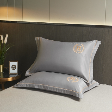 91家纺网 家纺一手货源 找家纺 水洗真丝枕套单人枕套刺绣加密枕芯学生宿舍家用48x74一对装 夏月-芝兰紫（一对）