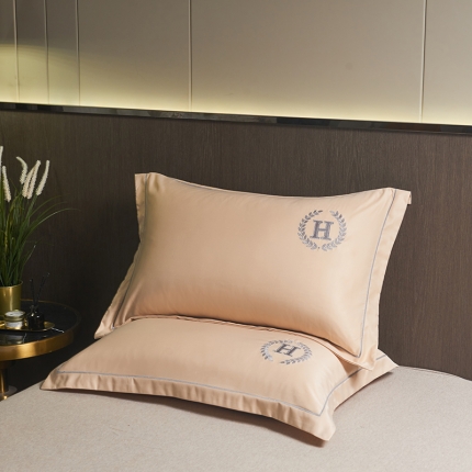 91家纺网 家纺一手货源 找家纺 水洗真丝枕套单人枕套刺绣加密枕芯学生宿舍家用48x74一对装 夏月-芝兰紫（一对）