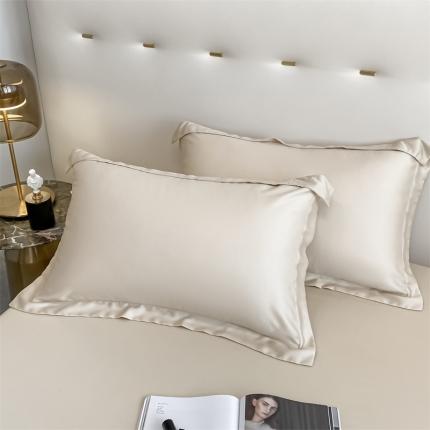 91家纺网 家纺一手货源 找家纺 （总）DC 2024新款天丝单枕套