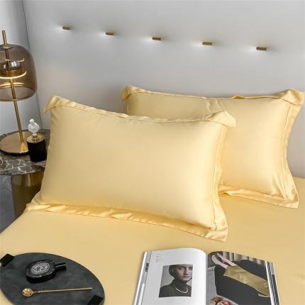 91家纺网 家纺一手货源 找家纺 （总）DC 2024新款天丝单枕套