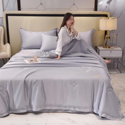 91家纺网 家纺一手货源 找家纺 （总）塔塔 2025新款轻奢冰雪丝包边羽毛刺绣大豆夏被