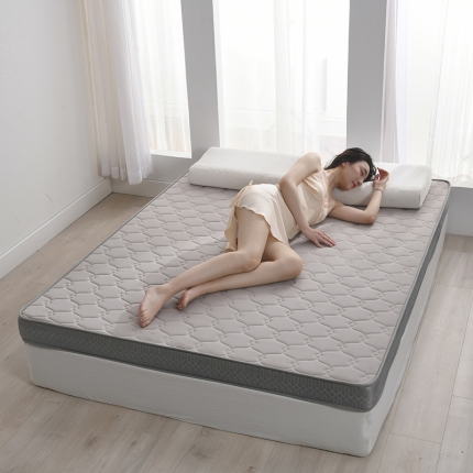 （总）鑫钰  2023新款A类全棉抗菌记忆高回弹加厚立体床垫