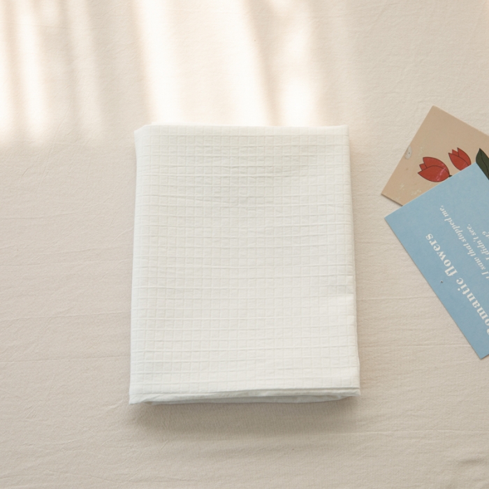 91家纺网 家纺一手货源 找家纺 安莱生活 2022新款不染单品枕套一只 小方格